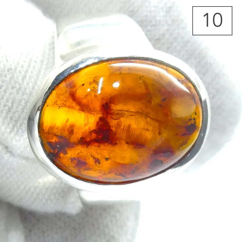 Amber Ring, Baltic, Oval Cabochon, Medium Size, 925 Sterling Silver (D1)