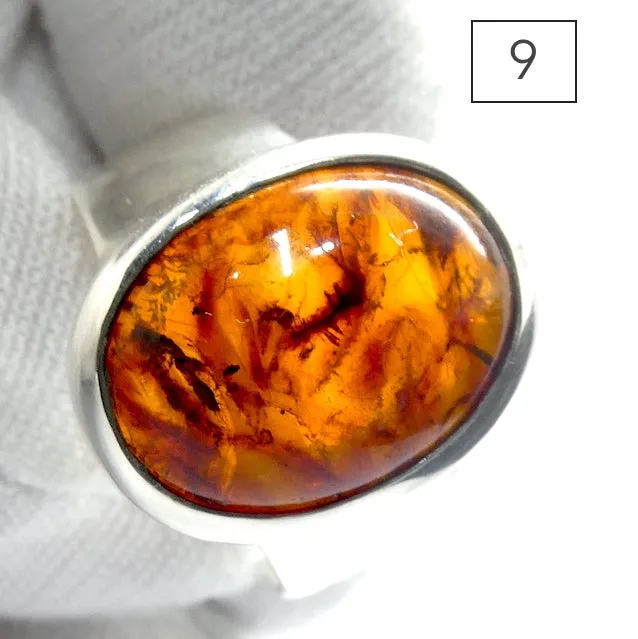 Amber Ring, Baltic, Oval Cabochon, Medium Size, 925 Sterling Silver (D1)