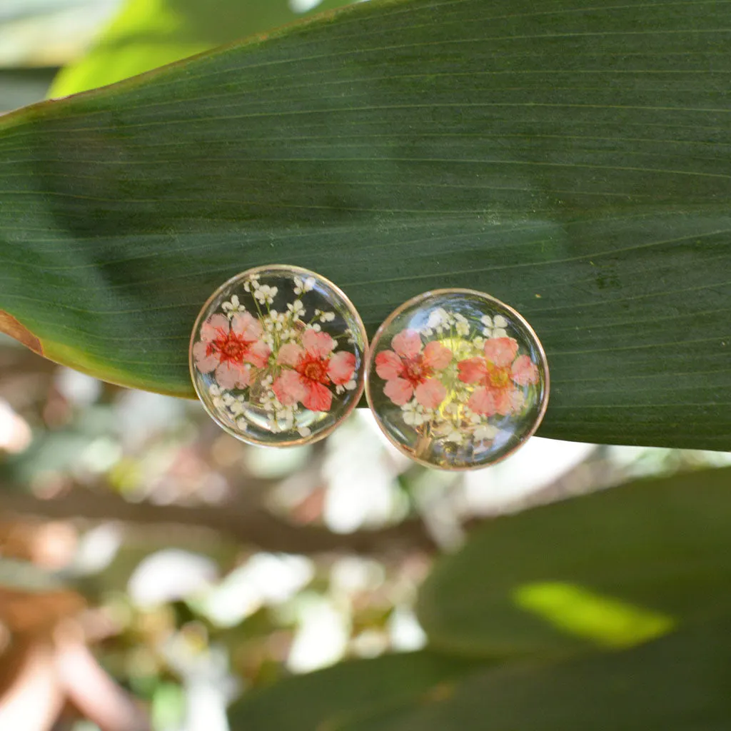 Blooming Stars Real Dried Flower Earrings