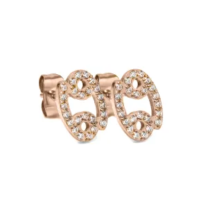 Cancer Earrings with CZ Stones - Rose Gold