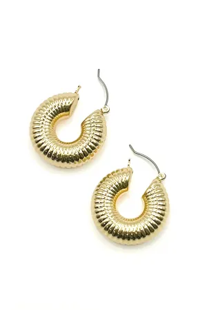 Graded Hoop Earrings