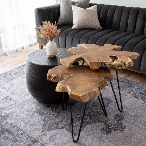 Natura Freeform Accent Table(s)