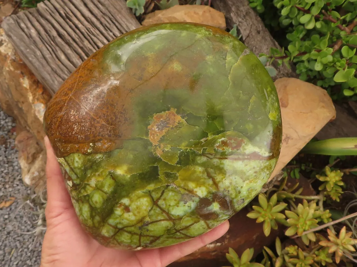 Polished Extra Large Green Opal Standing Free Form  x 1 From Madagascar