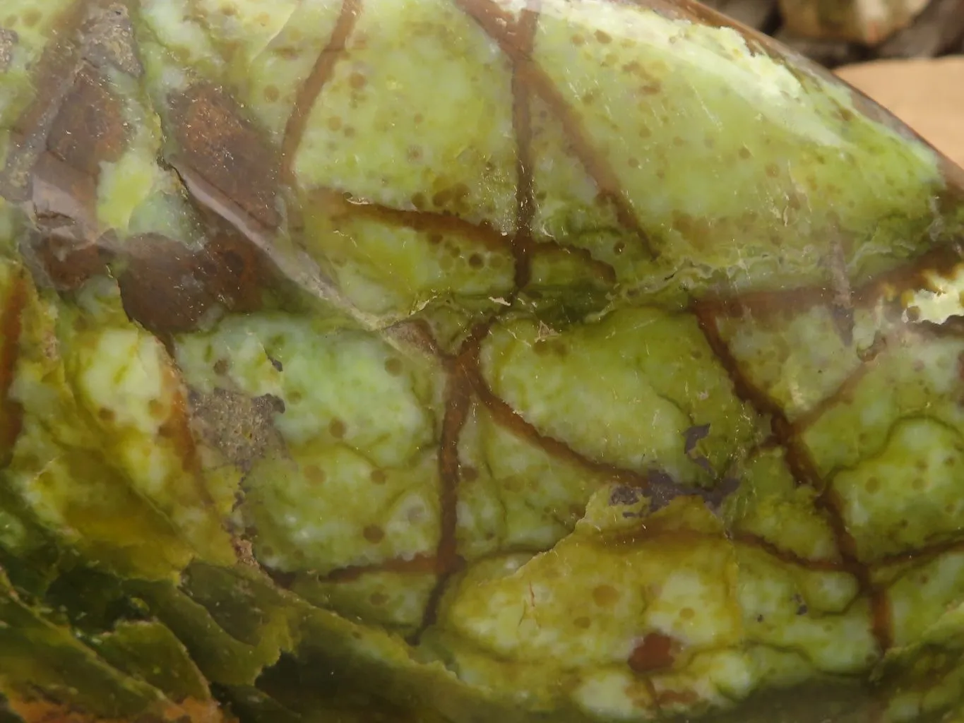 Polished Extra Large Green Opal Standing Free Form  x 1 From Madagascar