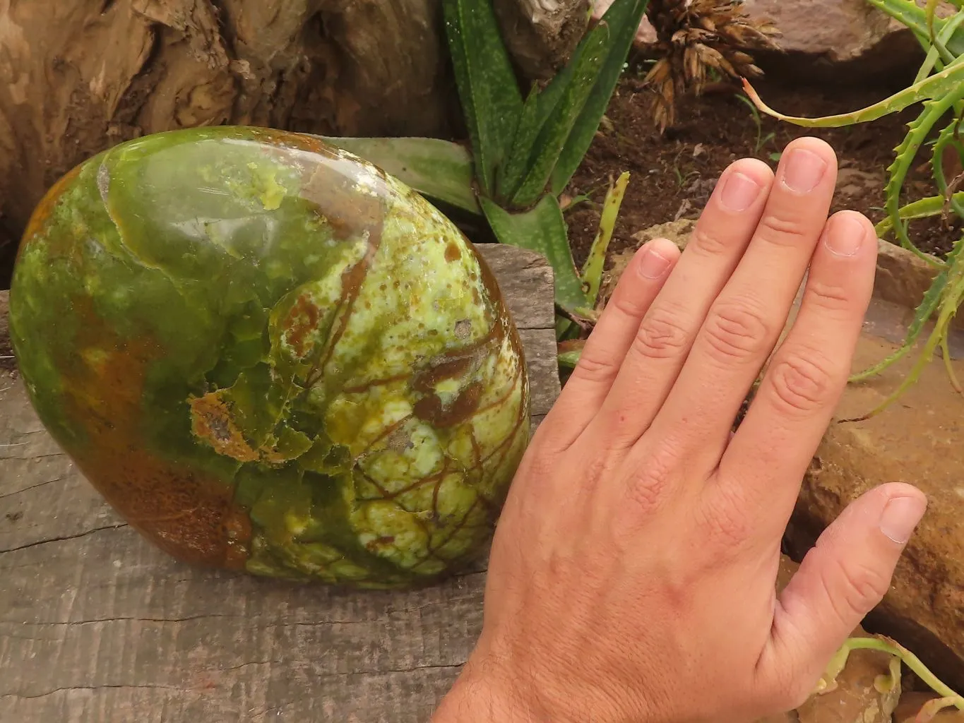 Polished Extra Large Green Opal Standing Free Form  x 1 From Madagascar