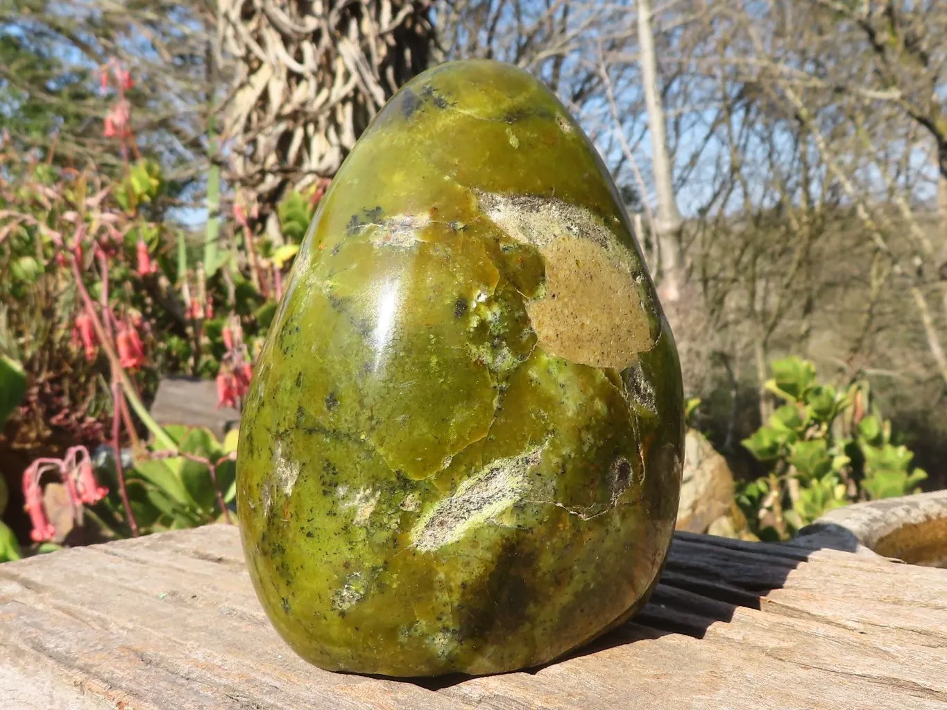 Polished  Green Opal Standing Free Form  x 1 From Antsirabe, Madagascar