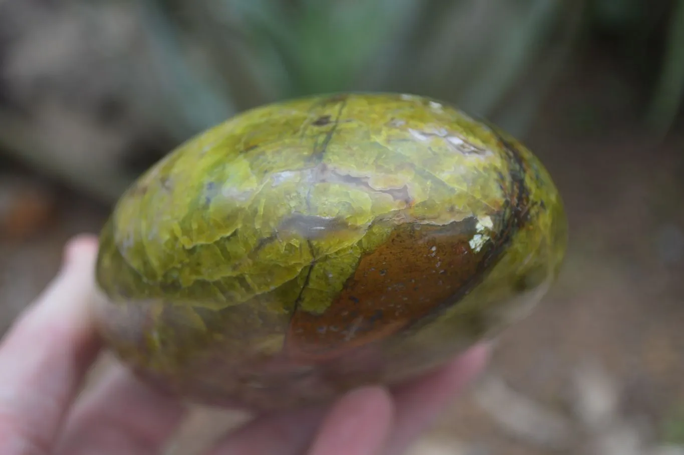 Polished Green Opal Standing Free Forms  x 2 From Madagascar