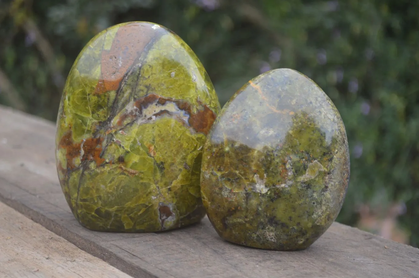 Polished Green Opal Standing Free Forms  x 2 From Madagascar