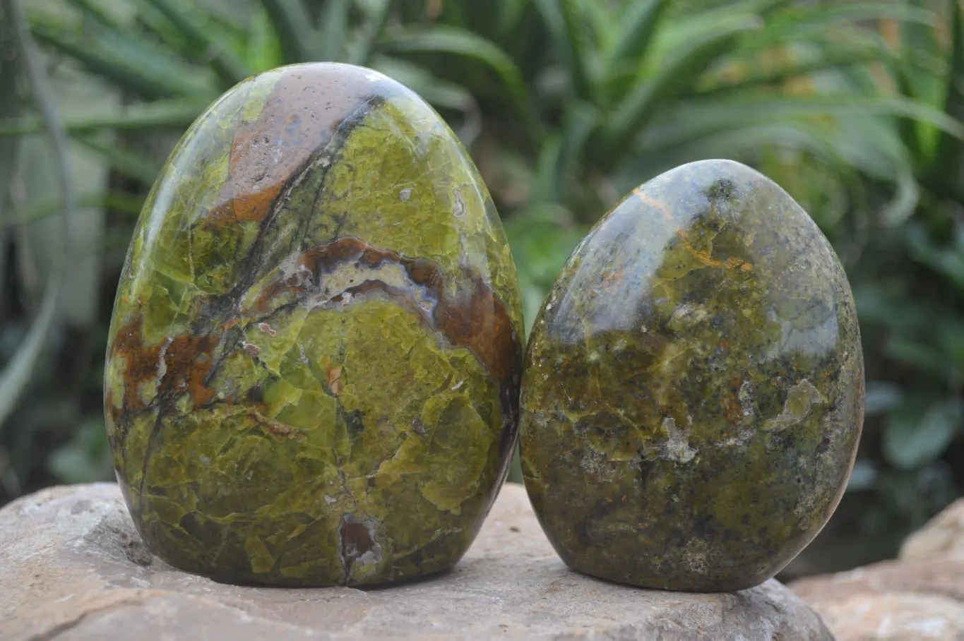 Polished Green Opal Standing Free Forms  x 2 From Madagascar