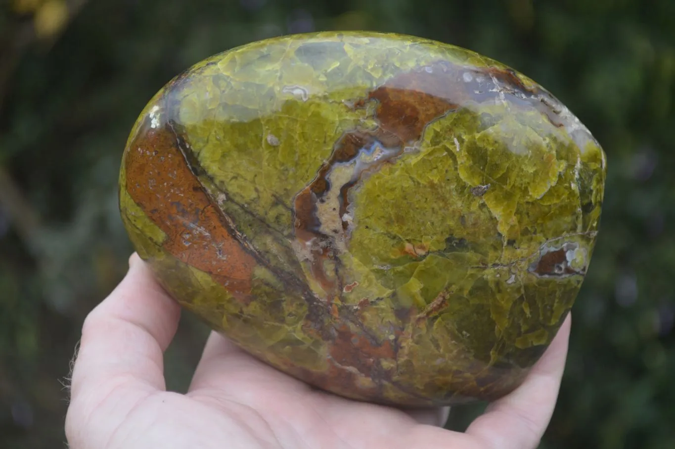 Polished Green Opal Standing Free Forms  x 2 From Madagascar