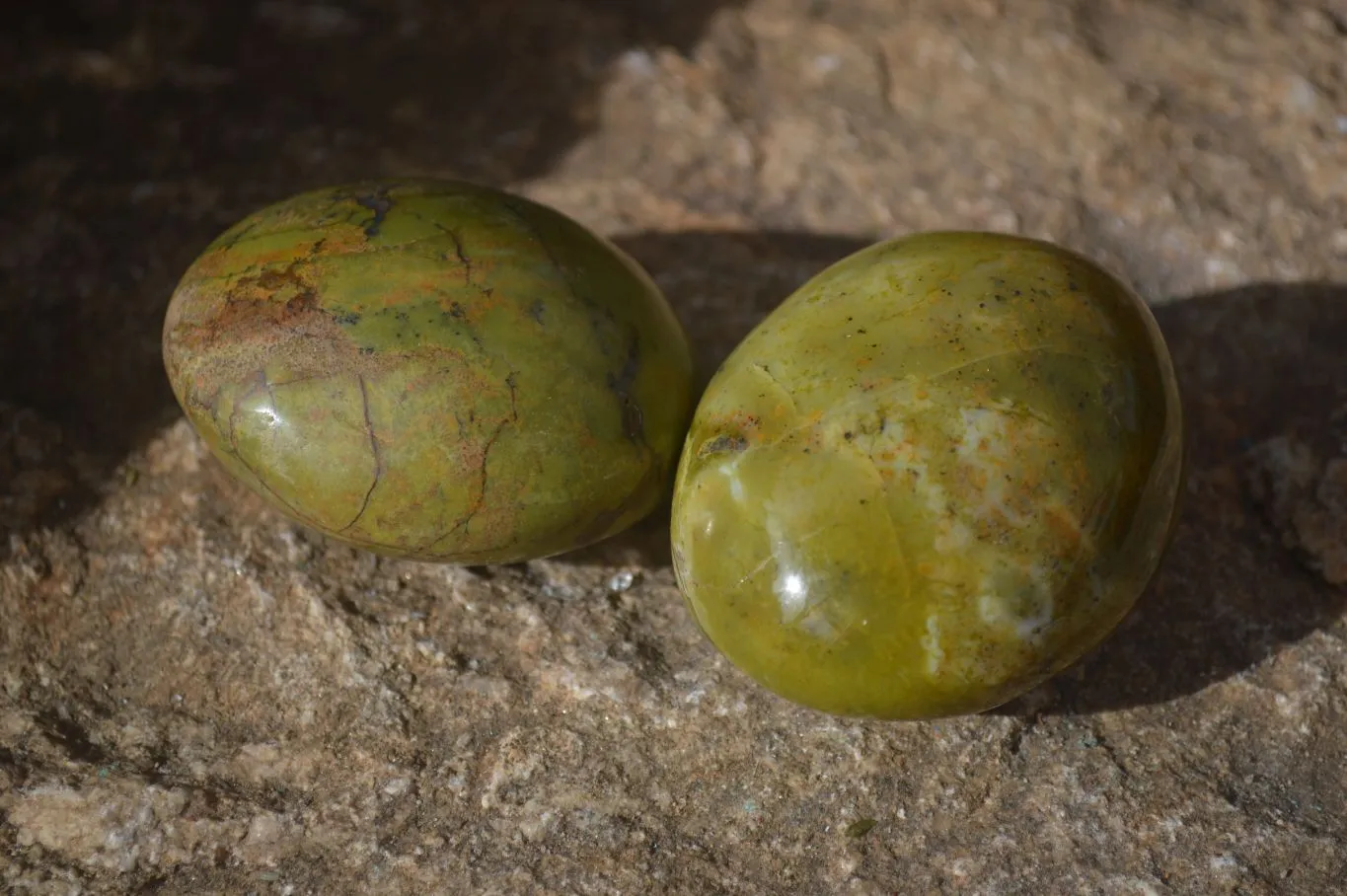 Polished Large Green Opal Galet - Palm Stone x 12 From Madagascar