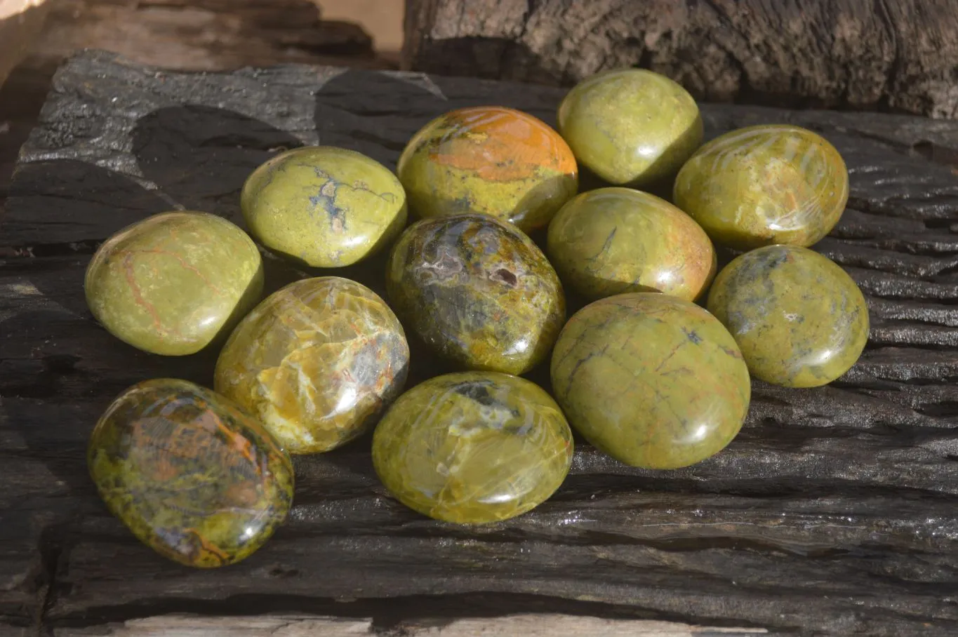 Polished Large Green Opal Galet - Palm Stone x 12 From Madagascar