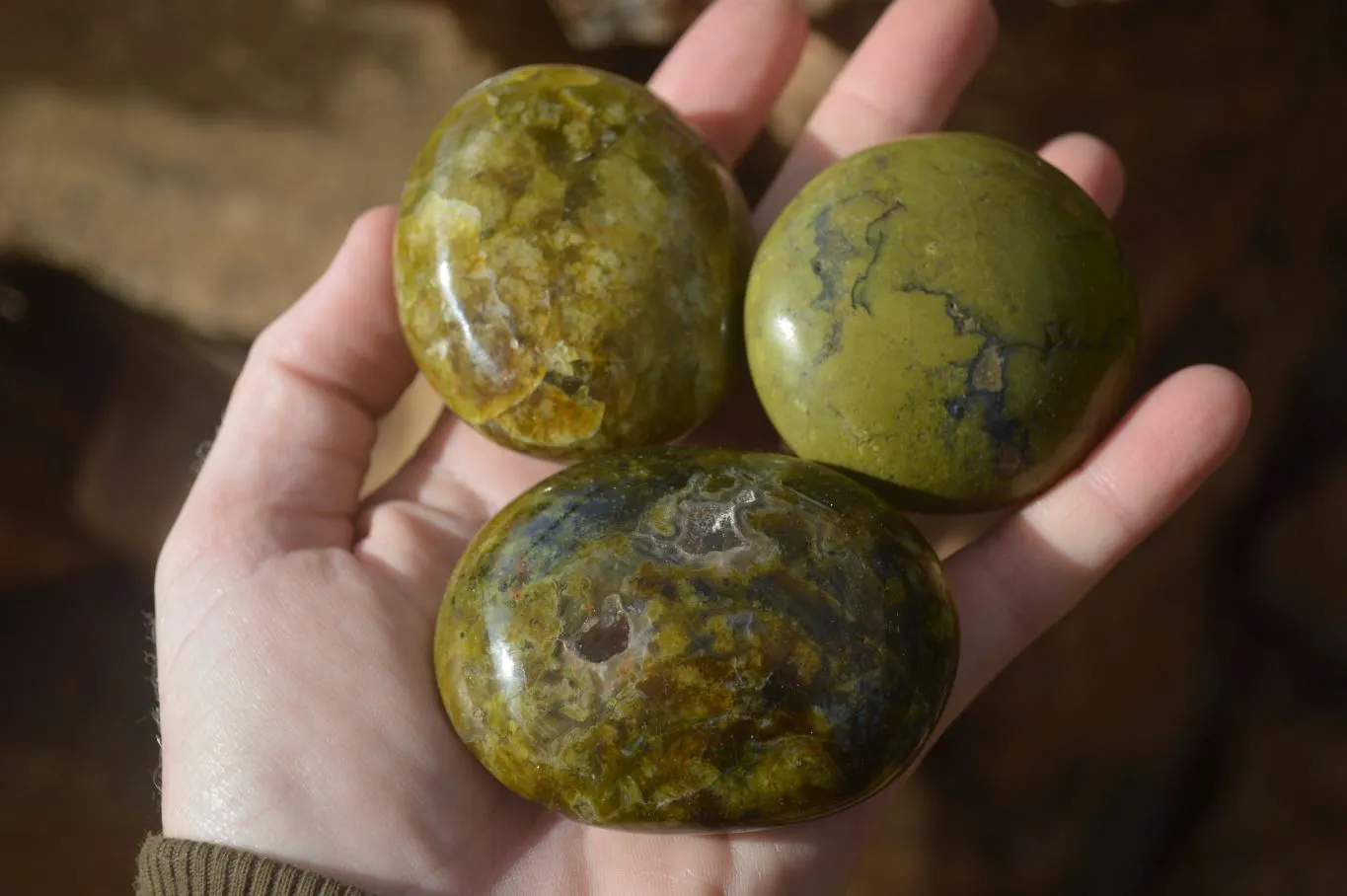 Polished Large Green Opal Galet - Palm Stone x 12 From Madagascar