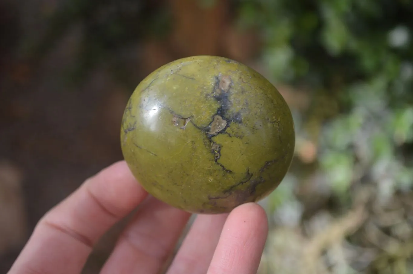 Polished Large Green Opal Galet - Palm Stone x 12 From Madagascar