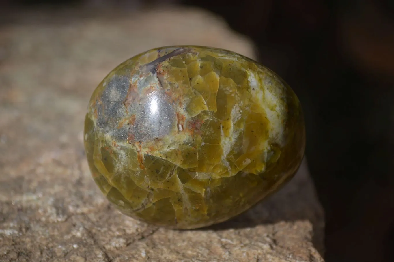 Polished Large Green Opal Galet - Palm Stone x 12 From Madagascar