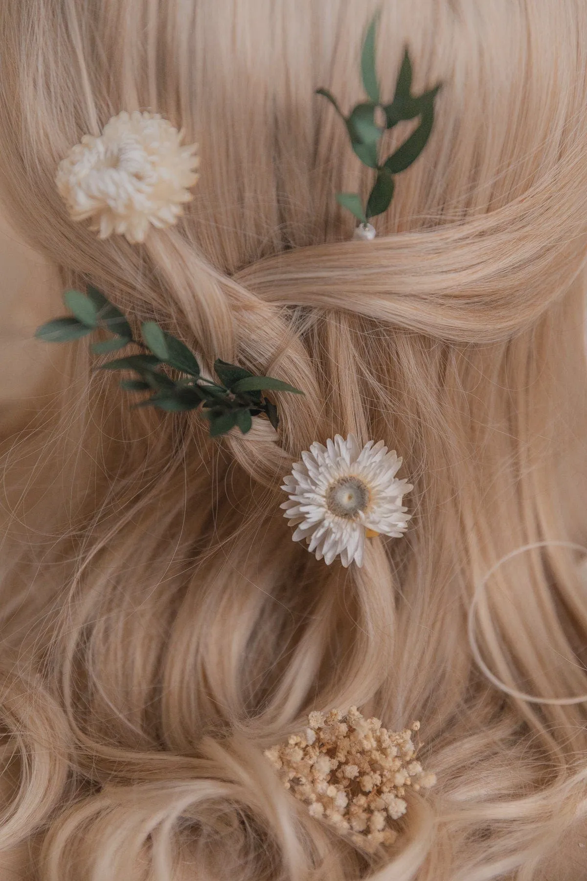 Real Eucalyptus & Straw Flowers with Dried Gypsophila 5 Piece Hair Pin Set