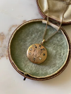 Victorian Fountain Locket